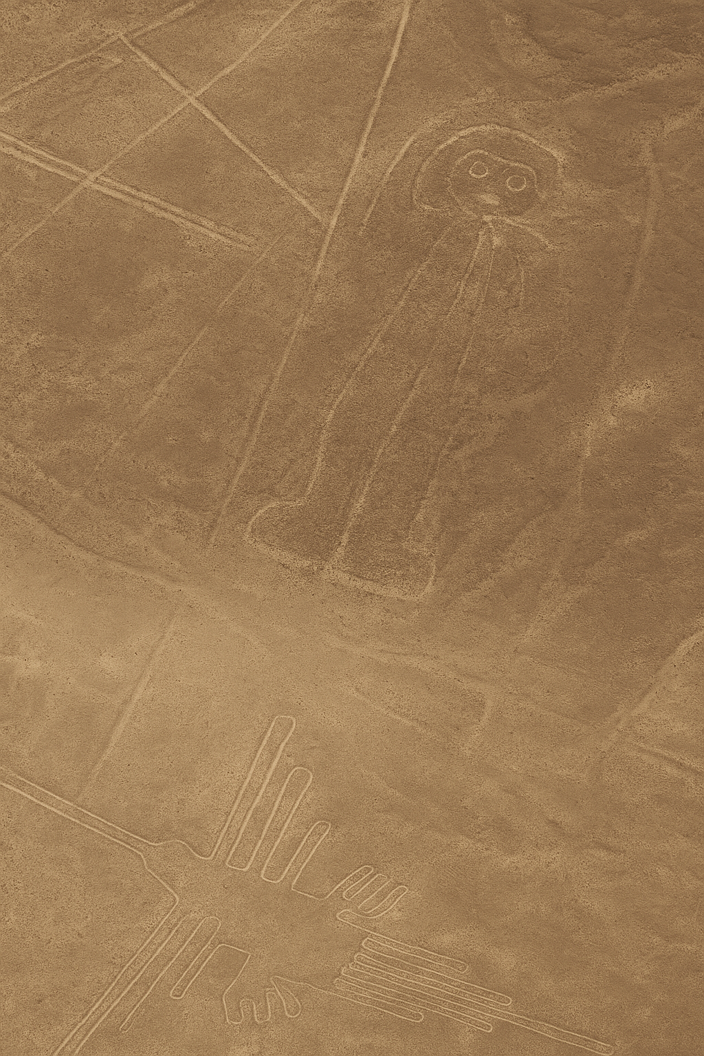 Nazca Lines: Ritual Runways or Stargazers’ Maps?